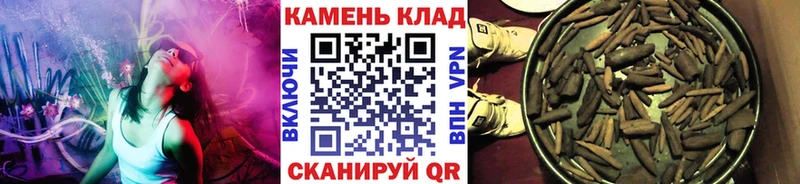 darknet какой сайт  Тайшет  ГАШ Premium 