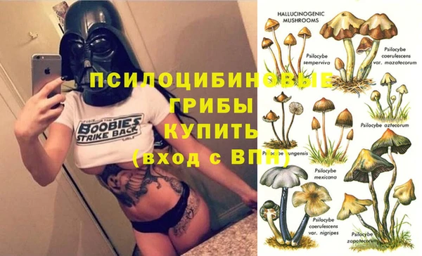 круглые Алексин