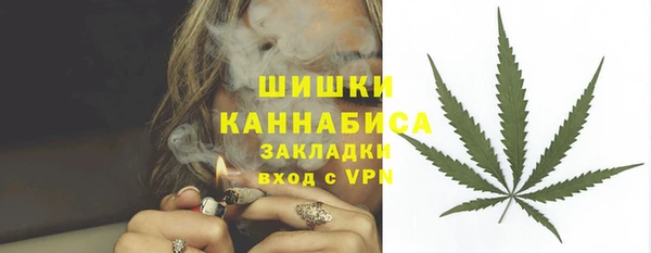 прущие грибы Арсеньев