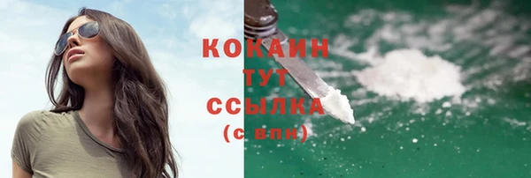 ECSTASY Алзамай