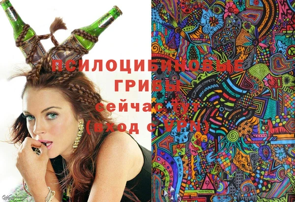 круглые Алексин