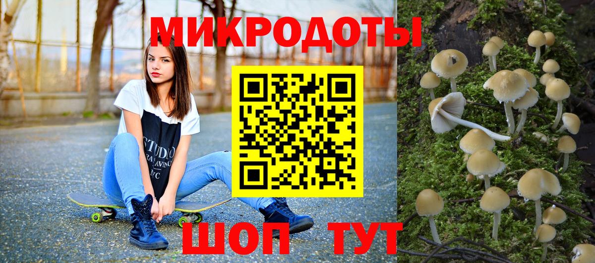 где найти   Вход с VPN  Тайшет  Галлюциногенные грибы Magic Shrooms 